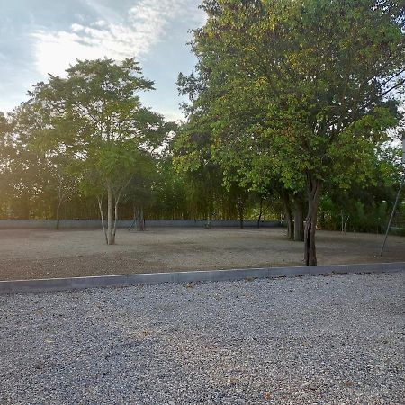 Il Giglio B&B Asola 外观 照片